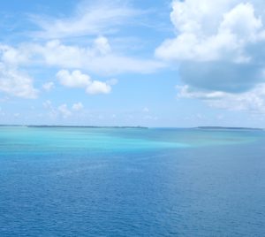 お肌の綺麗な女性が1番大切にしているケアは『保湿』～モイストルーツの魅力について