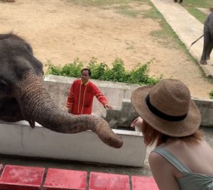 タイランド　バンコク　動物と触れ合えるおすすめスポット！続き