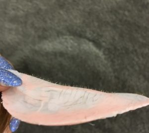 BONITOの美肌改善ワックスで顔ダニを撃退。以外に知られて居ない顔ダニ。