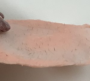 フェイスワックスで赤ちゃんの頃のようなたまご肌へ